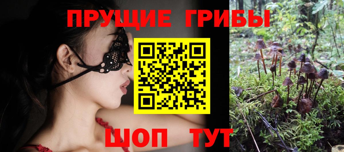 Галлюциногенные грибы Magic Shrooms Кузнецк